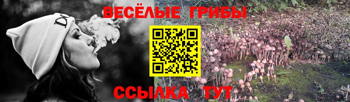 Магадан  Галлюциногенные грибы ЛСД  Вход с VPN 